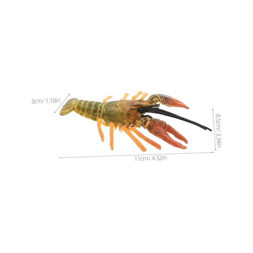 VILLFUL Realistisches Miniatur Hummermodell aus Langlebigem Material Detailgetreue Nachbildung als Dekorative Figur und Kindersicheres Vielseitig Einsetzbar für und Ausstellungen VILLFUL Realistisches Miniatur Hummermodell aus Langlebigem Material Detailgetreue Nachbildung als Dekorative Figur und Kindersicheres Vielseitig Einsetzbar für und Ausstellungen von VILLFUL