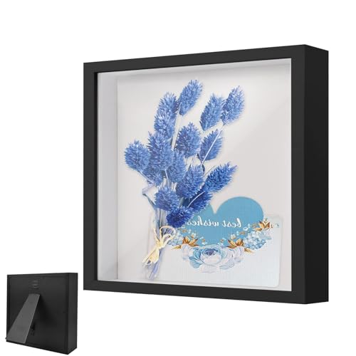 Bilderrahmen zum Befüllen, Objektrahmen Holz 20 x 20 cm, mit Transparente Acrylplatte, 3D Blumen Schattenbox Tiefer 3cm, für Gegenstände, Blumen, Hochzeitsgeschenk, Schwarz Bilderrahmen zum Befüllen, Objektrahmen Holz 20 x 20 cm, mit Transparente Acrylplatte, 3D Blumen Schattenbox Tiefer 3cm, für Gegenstände, Blumen, Hochzeitsgeschenk, Schwarz von VIQIHEOE