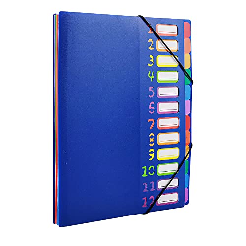 VIQWYIC Erweiternde Dateiordner A4 Briefgröße, 24 Taschen Kunststoff Akkordeon Dokument Veranstalter bunte Dateiordner für Schule Bürobedarf (Blau) von VIQWYIC