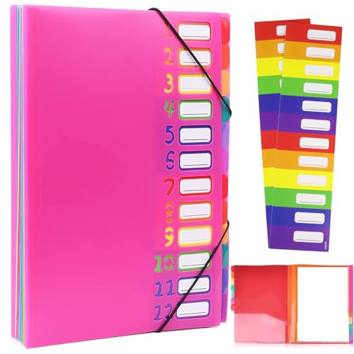 VIQWYIC Dokumentenmappe A4 mit 12 Fächern – Wasserdichter PP-Kunststoff-Ordner mit Gummizug & farbigen Etiketten – Tragbar Organizer für Schule/Büro (Heißes Rosa) von VIQWYIC