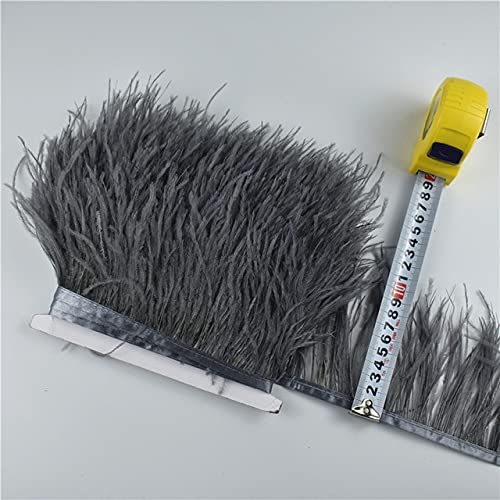 VIRUL 1 Meter Straußenfedern, Fransen, weiße Straußenfedern für Kleidung, Bänder, Federn, Rock, Plumas, Federdekoration VIRUL 1 Meter Straußenfedern, Fransen, weiße Straußenfedern für Kleidung, Bänder, Federn, Rock, Plumas, Federdekoration von VIRUL