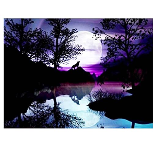 VNLMKS 5D Diamant Malerei Kits, DIY Diamond Painting Vollbohrer Crystal Strass Stickerei Lila Himmel Tier Wolf Runde Bohrer Erwachsene Kinder für Büro Wand Haus Dekoration 30x40cm von VNLMKS