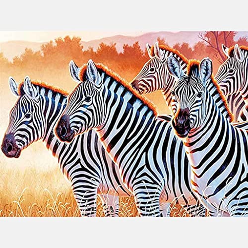 VNLMKS Diamant Malerei Kits, DIY 5D Diamond Painting Set, Crystal Strass Stickerei Kreuzstich Tier Zebra Nach Zahlen Diamant Painting Bilder Arts Craft für Home Wand Decor 50x60 cm von VNLMKS