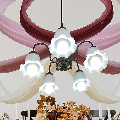 VOELIGT Deckenvorhänge, 1,52 x 50,8 m, 4 Paneele, Hochzeit, Deckenvorhang, Stoff, Altrose, Rouge, Rosa, Champagner, für Party, Hochzeit, Geburtstag VOELIGT Deckenvorhänge, 1,52 x 50,8 m, 4 Paneele, Hochzeit, Deckenvorhang, Stoff, Altrose, Rouge, Rosa, Champagner, für Party, Hochzeit, Geburtstag von VOELIGT