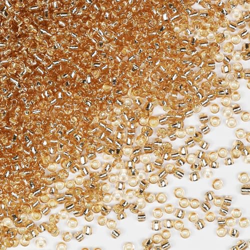 Rocailles-Perlen, 110 g, ca. 9800 Stück, 2 mm, 12/0, Champagnerglas-Bastelperlen für die Herstellung von Ohrringen, Armbändern, Anhängern, Taillenschmuck, selbstgemachte Rocailles-Perlen Rocailles-Perlen, 110 g, ca. 9800 Stück, 2 mm, 12/0, Champagnerglas-Bastelperlen für die Herstellung von Ohrringen, Armbändern, Anhängern, Taillenschmuck, selbstgemachte Rocailles-Perlen von VOOMOLOVE