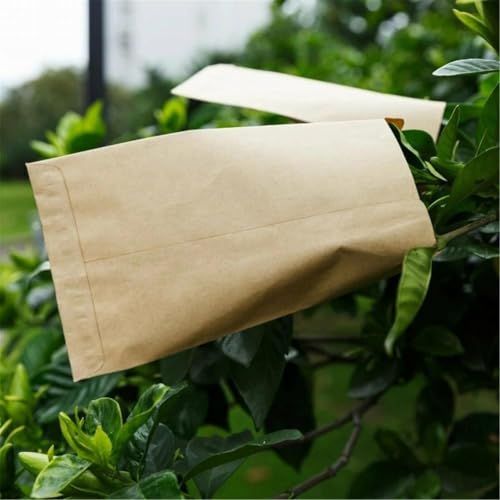200 Stück Papierpakete für Garten und Zuhause, Mini-Umschläge, 6 x 11 cm, geeignet für die Organisation von kleinen Gegenständen wie Knöpfen und Schmuck 200 Stück Papierpakete für Garten und Zuhause, Mini-Umschläge, 6 x 11 cm, geeignet für die Organisation von kleinen Gegenständen wie Knöpfen und Schmuck von VRTYVEYBB