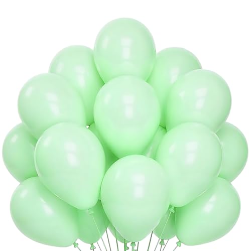 50 Pastellgrüne Luftballons 12 Zoll 30 cm matt Naturlatex biologisch abbaubar umweltfreundlich aufblasbar Luft Helium Wasser für Baby Shower Taufe Geburtstag Abschlussfeier Hochzeit Bogen Macaron 50 Pastellgrüne Luftballons 12 Zoll 30 cm matt Naturlatex biologisch abbaubar umweltfreundlich aufblasbar Luft Helium Wasser für Baby Shower Taufe Geburtstag Abschlussfeier Hochzeit Bogen Macaron von MOFOVS