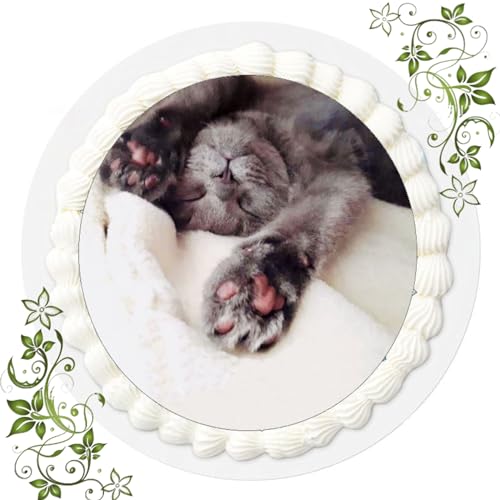Für den Geburtstag ein Tortenbild, mit dem Motiv: BKH Katze/Katzen, Essbares Foto für Torten, Tortenbild, Tortenaufleger Ø 20cm ESSPAPIER BKH Katze/Katzen Nr. 31 Für den Geburtstag ein Tortenbild, mit dem Motiv: BKH Katze/Katzen, Essbares Foto für Torten, Tortenbild, Tortenaufleger Ø 20cm ESSPAPIER BKH Katze/Katzen Nr. 31 von VSW