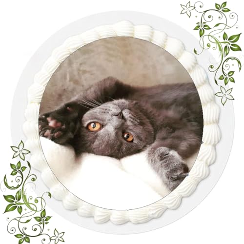 VSW Für den Geburtstag ein Tortenbild, mit dem Motiv: Frozen Die Eiskönigin, Essbares Foto für Torten, Tortenbild, Tortenaufleger Ø 20cm ESSPAPIER BKH Katze/katzen Nr. 32 VSW Für den Geburtstag ein Tortenbild, mit dem Motiv: Frozen Die Eiskönigin, Essbares Foto für Torten, Tortenbild, Tortenaufleger Ø 20cm ESSPAPIER BKH Katze/katzen Nr. 32 von VSW