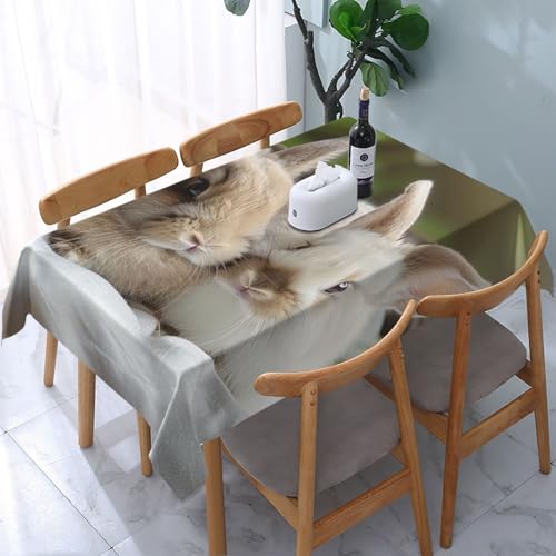 VVTDESA Bedruckte Tischdecke mit niedlichem Hasenmotiv, 137 x 183 cm, rechteckig, waschbar, Dekoration, Tischdecke für Esstische, Party, Buffet, Camping VVTDESA Bedruckte Tischdecke mit niedlichem Hasenmotiv, 137 x 183 cm, rechteckig, waschbar, Dekoration, Tischdecke für Esstische, Party, Buffet, Camping von VVTDESA