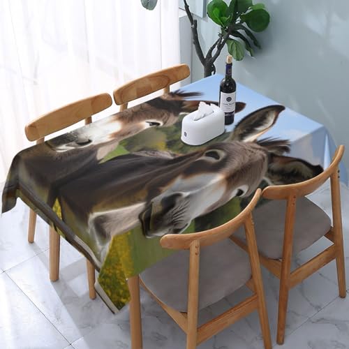 VVTDESA Bedruckte Tischdecke mit niedlichen Eseln, 137 x 183 cm, rechteckig, waschbar, Dekoration, Tischdecke für Esstische, Party, Buffet, Camping VVTDESA Bedruckte Tischdecke mit niedlichen Eseln, 137 x 183 cm, rechteckig, waschbar, Dekoration, Tischdecke für Esstische, Party, Buffet, Camping von VVTDESA