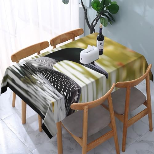 VVTDESA Loon Nature Tischdecke mit Vogelmotiv, rechteckig, Stoff, waschbar, Dekoration, Tischdecke für Esstische, Party, Buffet, Camping, 137 x 183 cm VVTDESA Loon Nature Tischdecke mit Vogelmotiv, rechteckig, Stoff, waschbar, Dekoration, Tischdecke für Esstische, Party, Buffet, Camping, 137 x 183 cm von VVTDESA