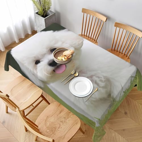 VVTDESA Tischdecke mit Bichon-Frisé-Motiv, bedruckt, rechteckig, Stoff, waschbar, Dekoration, Tischdecke für Esstische, Party, Buffet, Camping, 152,4 x 228,6 cm VVTDESA Tischdecke mit Bichon-Frisé-Motiv, bedruckt, rechteckig, Stoff, waschbar, Dekoration, Tischdecke für Esstische, Party, Buffet, Camping, 152,4 x 228,6 cm von VVTDESA