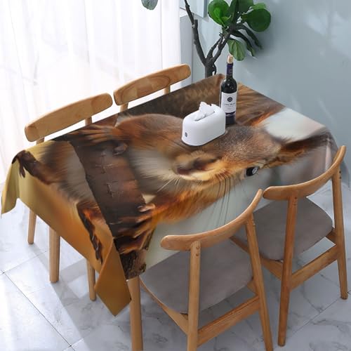 VVTDESA Tischdecke mit Eichhörnchen-Motiv, 137 x 183 cm, rechteckig, waschbar, Dekoration, Tischdecke für Esstische, Party, Buffet, Camping, 137 x 183 cm VVTDESA Tischdecke mit Eichhörnchen-Motiv, 137 x 183 cm, rechteckig, waschbar, Dekoration, Tischdecke für Esstische, Party, Buffet, Camping, 137 x 183 cm von VVTDESA