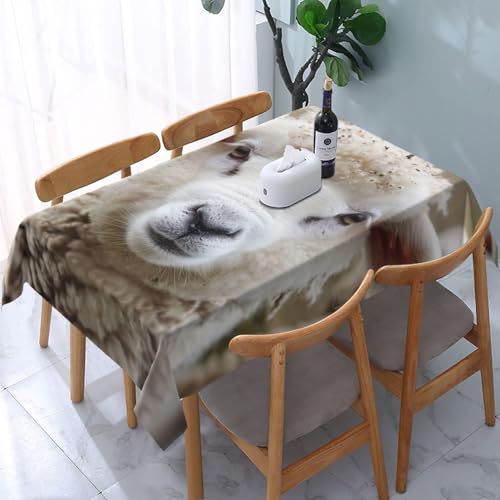 VVTDESA Tischdecke mit niedlichem Schaf, bedruckt, rechteckig, Stoff, waschbar, für Esstische, Party, Buffet, Camping, 137 x 183 cm VVTDESA Tischdecke mit niedlichem Schaf, bedruckt, rechteckig, Stoff, waschbar, für Esstische, Party, Buffet, Camping, 137 x 183 cm von VVTDESA