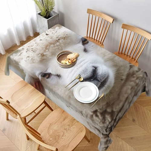 VVTDESA Tischdecke mit niedlichem Schaf-Lamm, bedruckt, 152,4 x 228,6 cm, rechteckig, waschbar, Dekoration, Tischdecke für Esstische, Party, Buffet, Camping VVTDESA Tischdecke mit niedlichem Schaf-Lamm, bedruckt, 152,4 x 228,6 cm, rechteckig, waschbar, Dekoration, Tischdecke für Esstische, Party, Buffet, Camping von VVTDESA