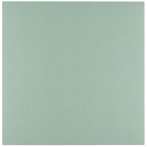 Florence Leinen Struktur Tonkarton Elfenbein 250 g – Kartengestaltung - 27 x 13,5 cm - Scrapbooking Bedarf - Reißfest - Erstellen Sie Elegante Einladungen, Geschenkboxen und Kunstprojekte Florence Leinen Struktur Tonkarton Elfenbein 250 g – Kartengestaltung - 27 x 13,5 cm - Scrapbooking Bedarf - Reißfest - Erstellen Sie Elegante Einladungen, Geschenkboxen und Kunstprojekte von Vaessen Creative