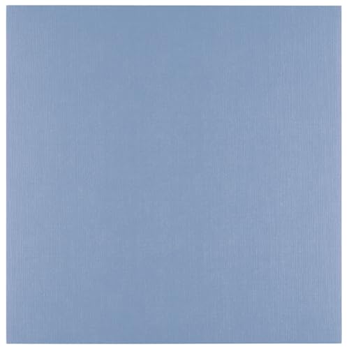 Florence Leinen Stuktur Tonkarton Braun 27 x 13,5 cm - Kartengestaltung- Scrapbooking Bedarf - Reißfest - Erstellen Sie Elegante Einladungen, Geschenkboxen und Kunstprojekte Florence Leinen Stuktur Tonkarton Braun 27 x 13,5 cm - Kartengestaltung- Scrapbooking Bedarf - Reißfest - Erstellen Sie Elegante Einladungen, Geschenkboxen und Kunstprojekte von Vaessen Creative