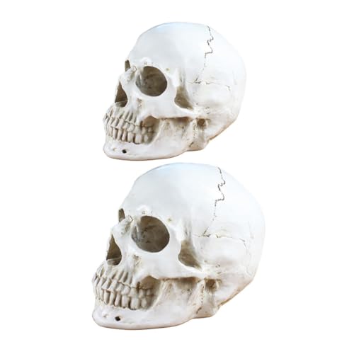 Vaguelly 2Stücke Halloween Dekorationen Gruselige Harz Schädelmodelle Für Innen Und Außenbereich Kunstornamente Für Halloween Feiern Und Spukhäuser Vaguelly 2Stücke Halloween Dekorationen Gruselige Harz Schädelmodelle Für Innen Und Außenbereich Kunstornamente Für Halloween Feiern Und Spukhäuser von Vaguelly