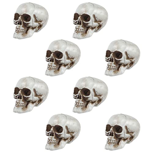 Vaguelly 8 Stück Teiliges Mini Schädel Dekoration für Halloween Gruselige Skelett Köpfe für Partys und Veranstaltungen für und Außendekoration Schaurige für Zuhause und Bars Vaguelly 8 Stück Teiliges Mini Schädel Dekoration für Halloween Gruselige Skelett Köpfe für Partys und Veranstaltungen für und Außendekoration Schaurige für Zuhause und Bars von Vaguelly