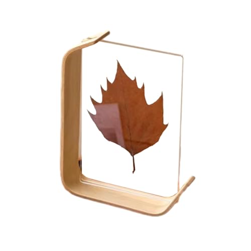 VALINK Doppelseitiger Acryl-Pflanzen-Bilderrahmen, dicker rahmenloser Block-Präsentationsständer für getrocknete Blumenpflanzen, Zimmer-Desktop-Dekoration, helles Holz, A5 von Valink
