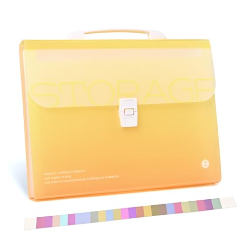 Valtiner Fächermappen, 13 Taschen, Akkordeon-Aktenordner mit Griff, A4-Größe, wahrscheinlich Kunststoff, Dokumentenpapier-Organizer für Schule und Bürobedarf (Gelb) von Valtiner