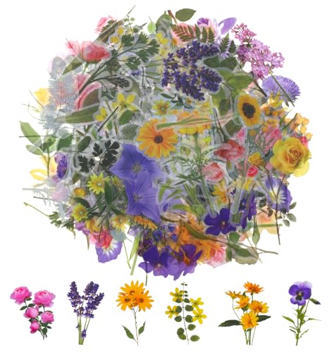 160 Stück Sticker Blumen, Blumen Sticker Scrapbooking Aufkleber, Wasserfest, Selbstklebend, Bunte Vintage Pflanzen Aufkleber für Notizblöcke, Fotoalben, Karten, Handwerk, DIY von ValueBargain