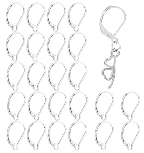 ValueBargain Klappbügel-Ohrringhaken, Edelstahl, französischer Ohrdraht, geeignet für Schmuckherstellung und Bastelbedarf, 24 Stück ValueBargain Klappbügel-Ohrringhaken, Edelstahl, französischer Ohrdraht, geeignet für Schmuckherstellung und Bastelbedarf, 24 Stück von ValueBargain