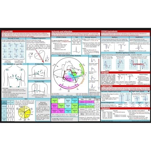 Pocket EKG-Referenzkarte, doppelseitiges Elektrokardiogramm-Interpretations-Poster für Krankenpflegestudenten, Klinikpersonal Pocket EKG-Referenzkarte, doppelseitiges Elektrokardiogramm-Interpretations-Poster für Krankenpflegestudenten, Klinikpersonal von Vdaxvme