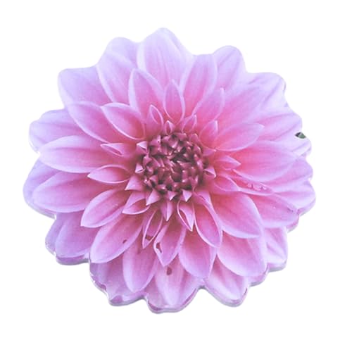 Vdaxvme Haftnotizen in Blumenform, Haftnotizen, Haftnotizen, Notizblock, selbstklebende Tagebücher, Seite, Notizblöcke für Büro, 25 Blatt Vdaxvme Haftnotizen in Blumenform, Haftnotizen, Haftnotizen, Notizblock, selbstklebende Tagebücher, Seite, Notizblöcke für Büro, 25 Blatt von Vdaxvme