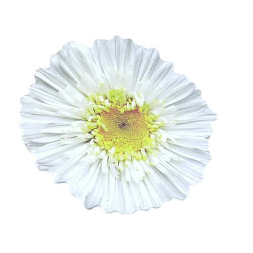 Vdaxvme Haftnotizen in Blumenform, Haftnotizen, Haftnotizen, Notizblock, selbstklebende Tagebücher, Seite, Notizblöcke für Büro, 25 Blatt Vdaxvme Haftnotizen in Blumenform, Haftnotizen, Haftnotizen, Notizblock, selbstklebende Tagebücher, Seite, Notizblöcke für Büro, 25 Blatt von Vdaxvme