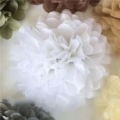 Party 15 Stück 4,6,8 Zoll 10 cm 15 cm 20 cm Seidenpapier Pom Poms Künstliche Blumen Ball Pompon Hochzeit Geburtstag Dekoration Partys-weiß von VeGiq