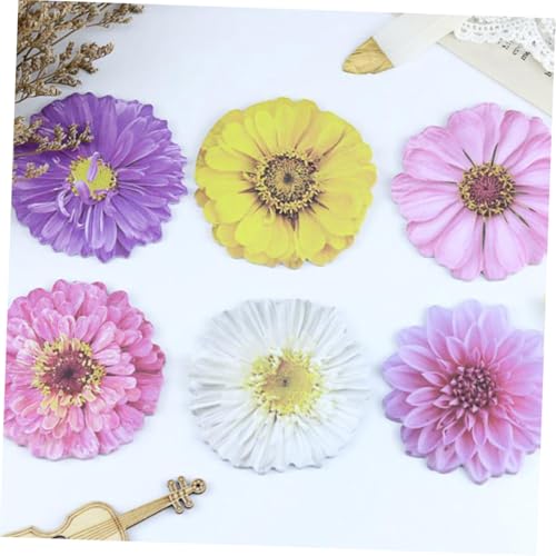 Veemoon 12 Stück Blumen Haftnotizen Ablösbare Memo Pads mit Dekorativen Haftende Notizzettel für Schüler und Büro Glattes Papier für Einfache Beschriftung Vielseitig für Nachrichten und Veemoon 12 Stück Blumen Haftnotizen Ablösbare Memo Pads mit Dekorativen Haftende Notizzettel für Schüler und Büro Glattes Papier für Einfache Beschriftung Vielseitig für Nachrichten und von Veemoon