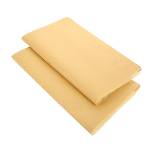 Veemoon 140 Stück Handgefertigtes Rohes und Reifes Calligraphy Papier für Pinsel für Anfänger der Kalligrafie und Malerei von Veemoon