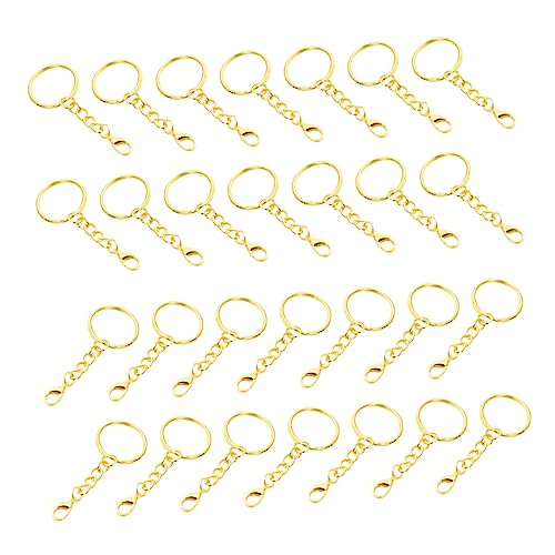 Veemoon 50 Stück Teiliges Schlüsselringe mit Lobster Clasp Metall Schlüsselanhänger Ringe für DIY Schmuckherstellung und Schlüsselbund Zubehör Langlebig Kompakt Leicht und Praktisch für Veemoon 50 Stück Teiliges Schlüsselringe mit Lobster Clasp Metall Schlüsselanhänger Ringe für DIY Schmuckherstellung und Schlüsselbund Zubehör Langlebig Kompakt Leicht und Praktisch für von Veemoon