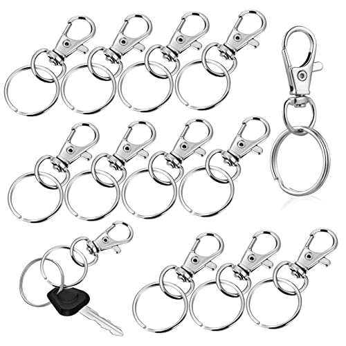 Veemoon 60Sätze Schlüsselanhänger Schwenkclips Mit Ringen Für Schlüsselanhänger Lanyards Und Bastelprojekte Robustem Zinklegierungsmaterial Langlebig Und Vielseitig Einsetzbar von Veemoon