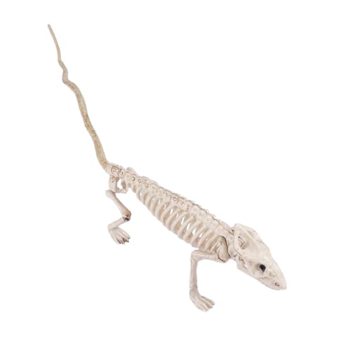 Veemoon Halloween Skelett Figuren Set Aus Kunststoff – Gruselige Tierknochen Dekoration Für Tisch Und Party – Ideal Für Horrorfans Und Halloween-Feiern - 4 Teilig von Veemoon
