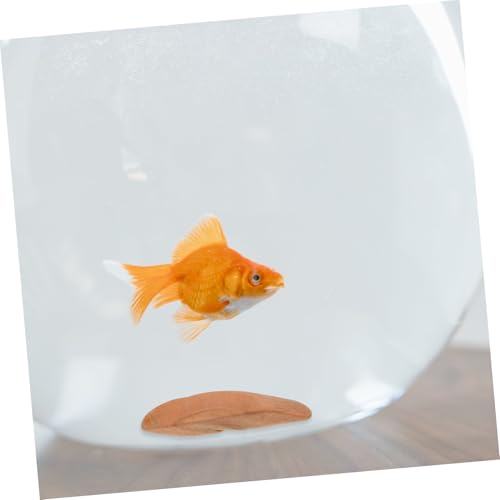 Veemoon Pack Natürliche Treibholzstücke für Bastelholz DIY Aquarium Deko Rustikale Holzscheiben für Kreative Handwerksprojekte und Wohnaccessoires von Veemoon