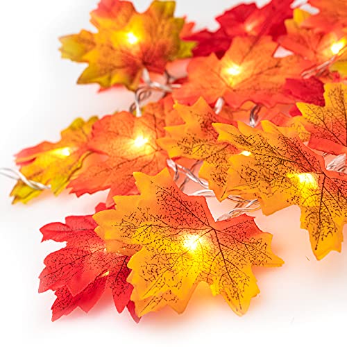 Ventvinal Herbstdekoration Ahornblatt Lichterkette, 2m 20 LED Lichter Thanksgiving Halloween Dekoration Party Innen und Außen Weihnachtslichterkette von Ventvinal
