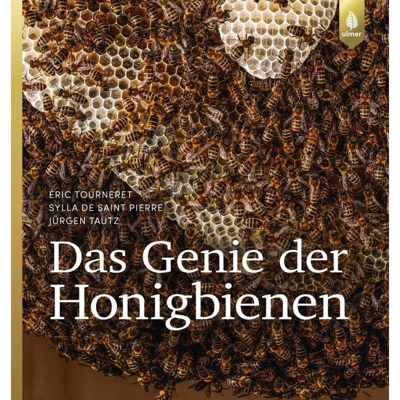 Das Genie Der Honigbienen - Eric Tourneret, Sylla de Saint Pierre, Jürgen Tautz, Gebunden von Verlag Eugen Ulmer