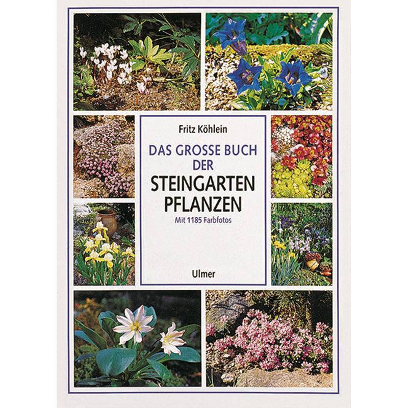 Das Große Buch Der Steingartenpflanzen - Fritz Köhlein, Gebunden von Verlag Eugen Ulmer