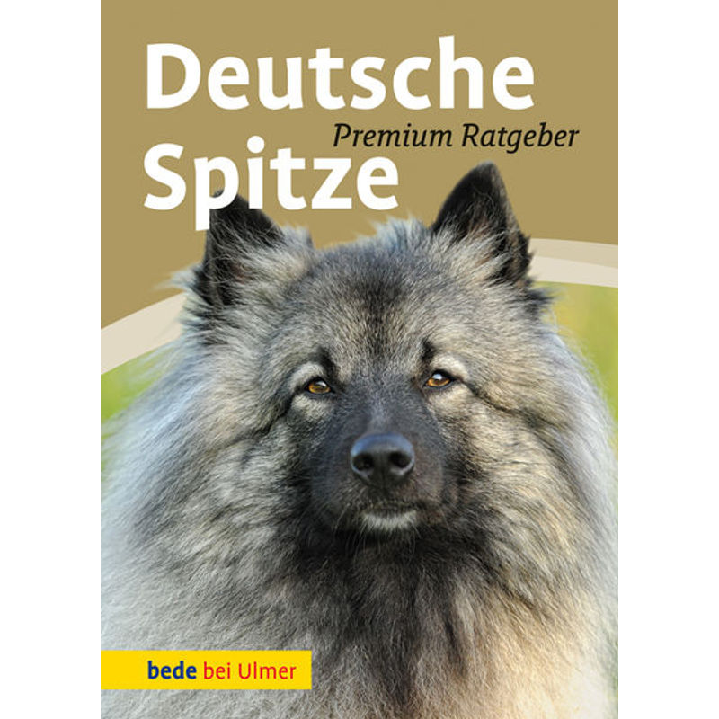 Deutsche Spitze - Annette Schmitt, Cinnamon Lee Hooper, Gebunden von Verlag Eugen Ulmer
