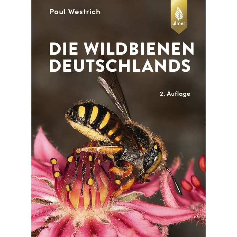Die Wildbienen Deutschlands - Paul Westrich, Gebunden von Verlag Eugen Ulmer