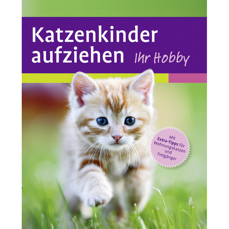 Katzenkinder Aufziehen - Mark Evans, Kartoniert (TB) von Verlag Eugen Ulmer
