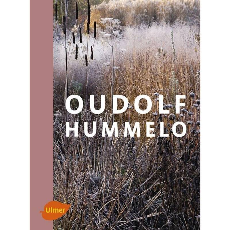 Oudolf Hummelo - Piet Oudolf, Noël Kingsbury, Gebunden von Verlag Eugen Ulmer