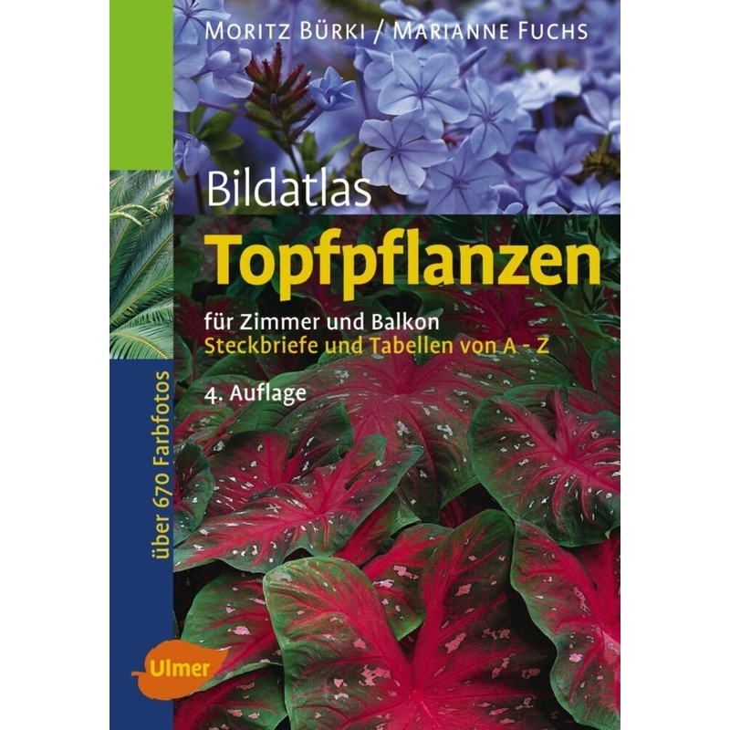 Topfpflanzen - Moritz Bürki, Marianne Fuchs, Gebunden von Verlag Eugen Ulmer