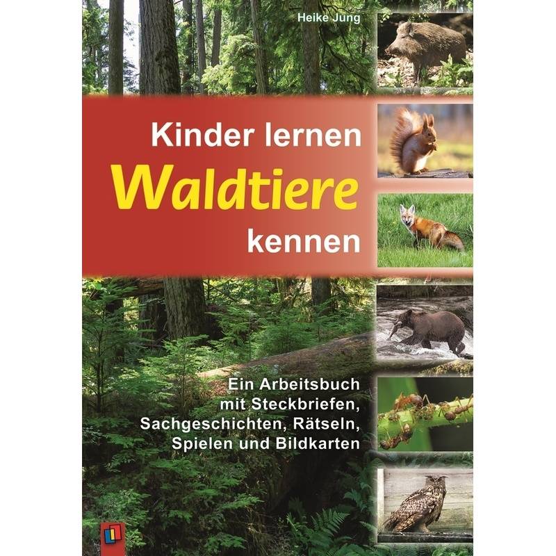 Kinder Lernen Waldtiere Kennen - Heike Jung, Kartoniert (TB) von Verlag an der Ruhr