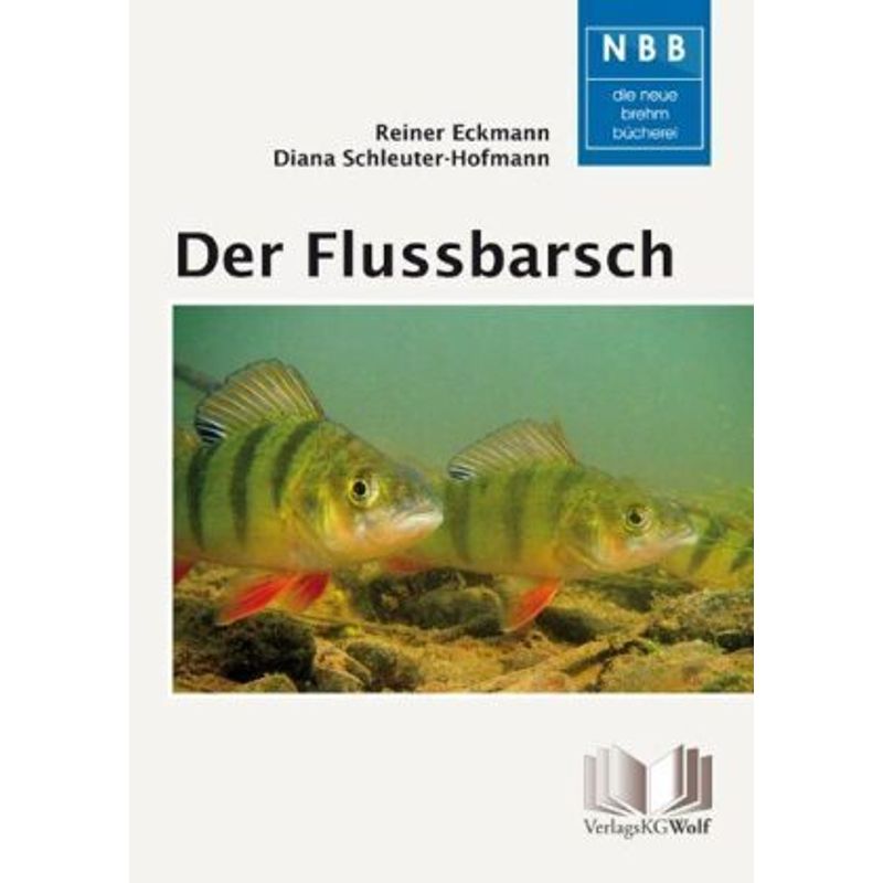 Der Flussbarsch - Perca Fluviatilis - Diana Schleuter-Hofmann, Reiner Eckmann, Kartoniert (TB) von Militzke