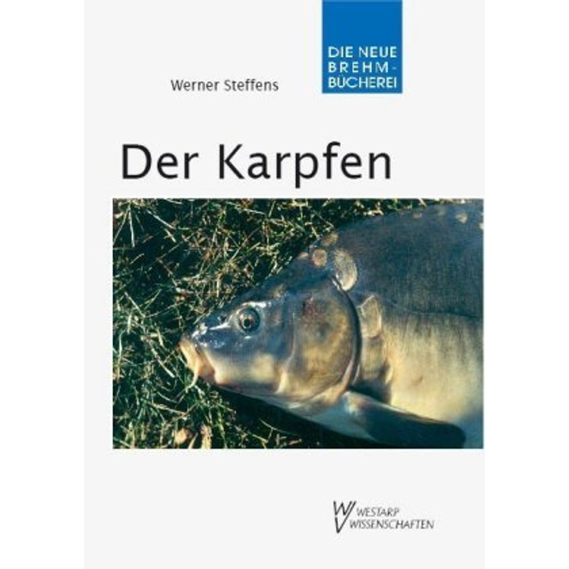 Der Karpfen - Werner Steffens, Kartoniert (TB) von VerlagsKG Wolf