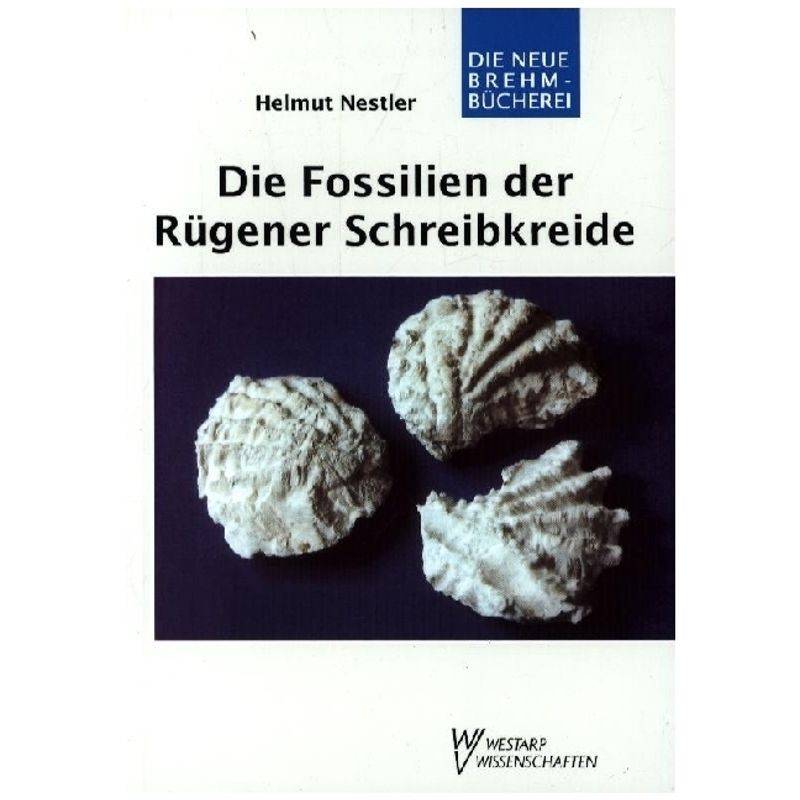 Die Fossilien Der Rügener Schreibkreide - Helmut Nestler, Kartoniert (TB) von VerlagsKG Wolf
